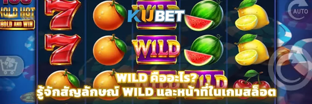 Wild คืออะไร? รู้จักสัญลักษณ์ Wild และหน้าที่ในเกมสล็อต
