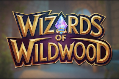 ภาพเกมทดลอง Wizards of Wild Wood